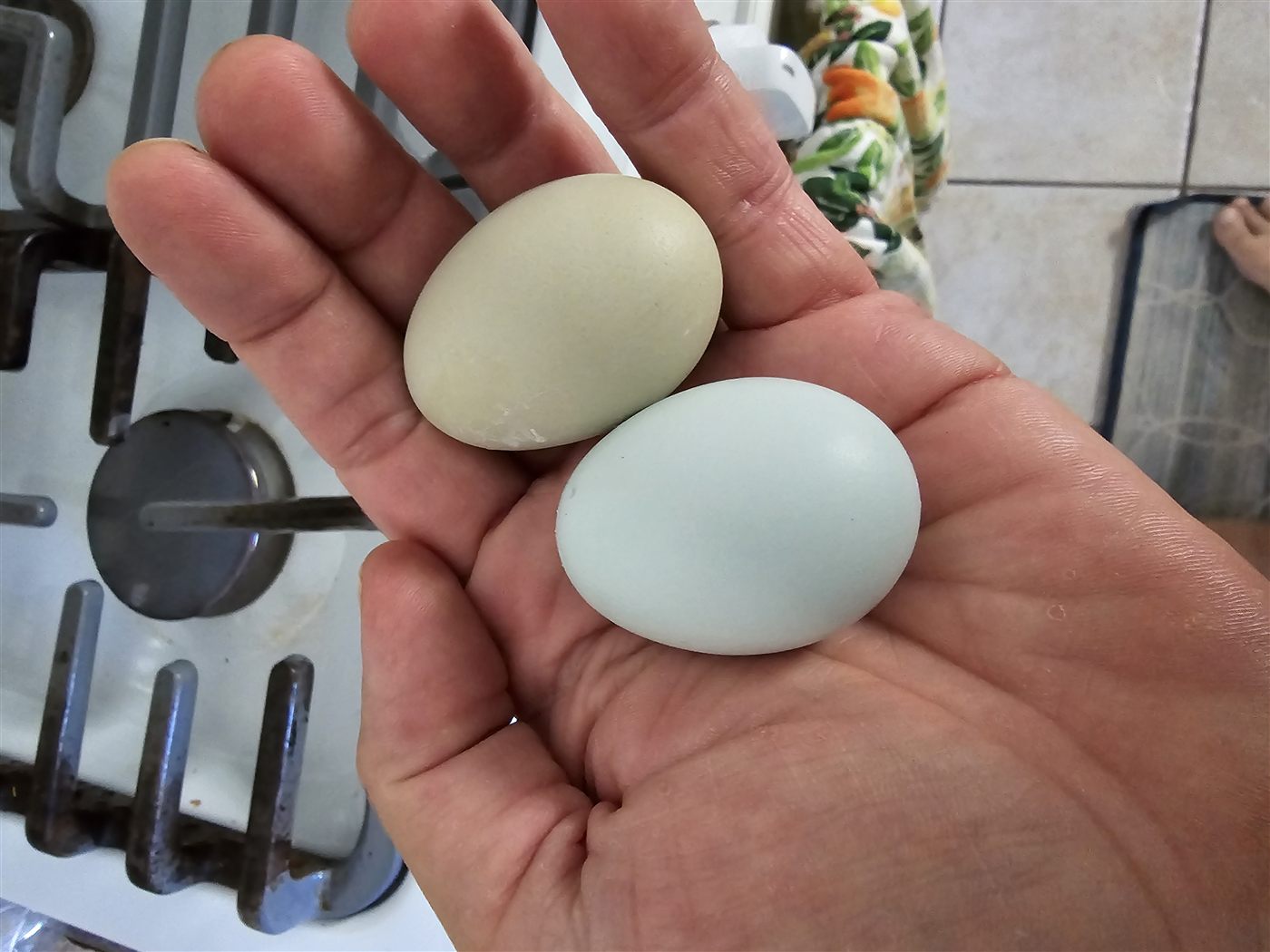 A blue egg and a green egg side by side